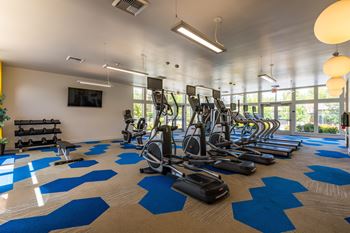 Luxury fitness center with dedicated free weights & strength training